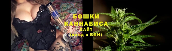 соль ск Бородино