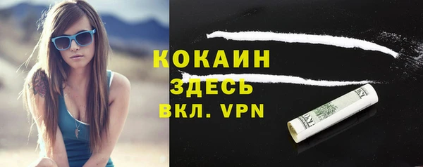 соль ск Бородино