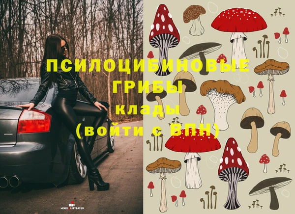 каннабис Сясьстрой