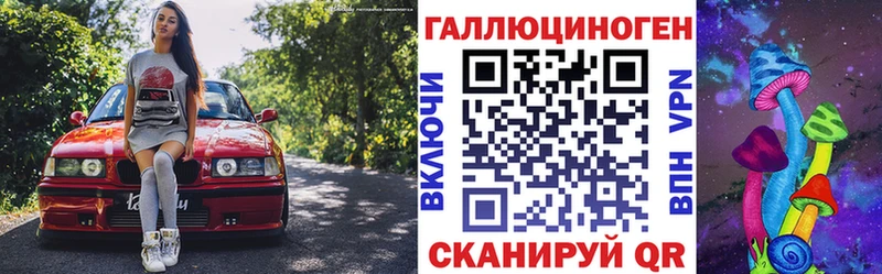 OMG как зайти  Великие Луки  Псилоцибиновые грибы Magic Shrooms 