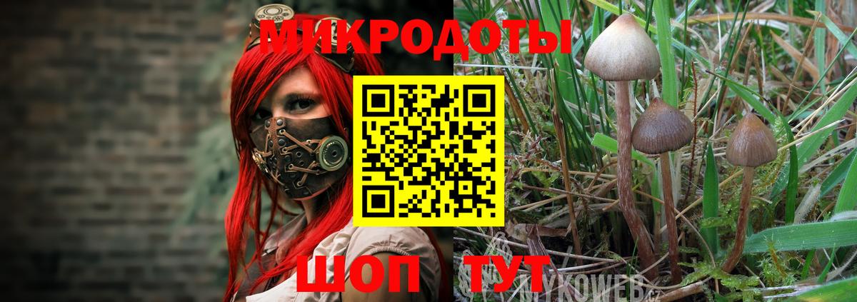 купить наркотики цена  Псилоцибиновые грибы Psilocybine cubensis  Вход с VPN  Великие Луки 